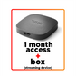 iLoveit - Economy Package / 1-Month Access + Box (Streaming Device)