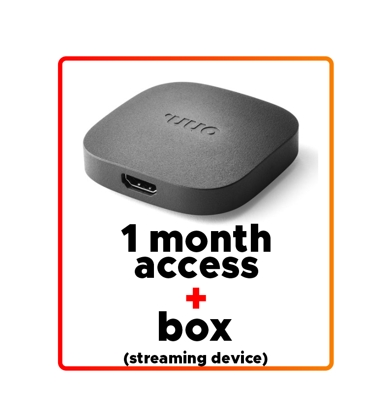 iLoveit - Economy Package / 1-Month Access + Box (Streaming Device)